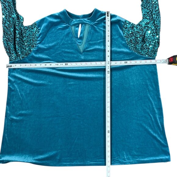 NEW Blue Sequined Velvet Long Sleeve Elegant Dress Womens Plus Size 26/28 Roaman - Picture 8 of 10
